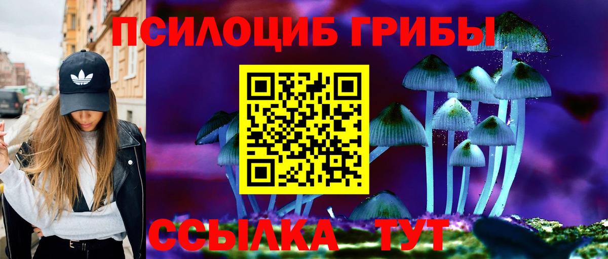 Псилоцибиновые грибы Magic Shrooms  Вход с VPN  Щёкино 