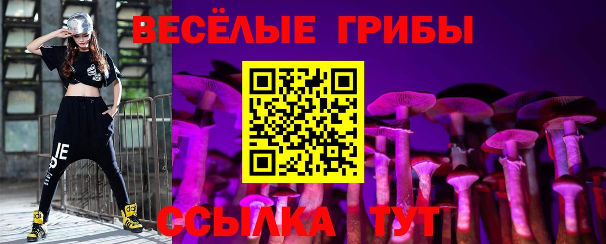 Галлюциногенные грибы Cubensis Щёкино